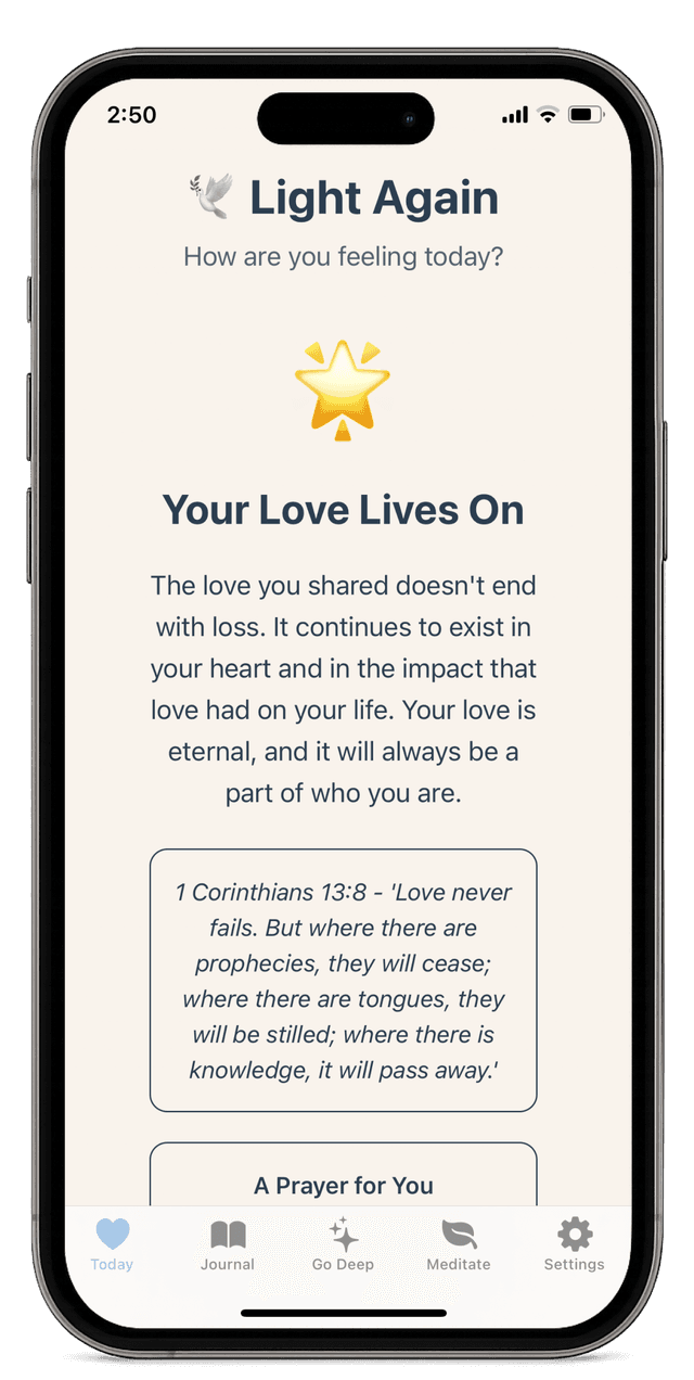 Emotional Reflections screenshot 2